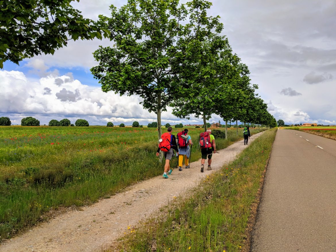 Pensieri dal cammino: #1 ognuno con il proprio passo